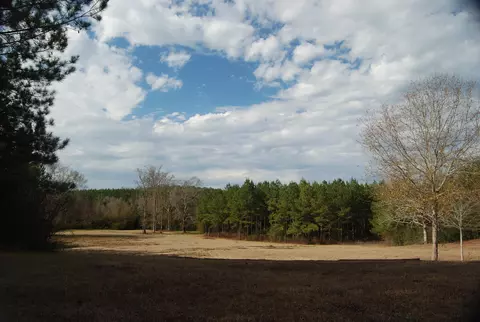 341 New Hope, Sandy Hook, MS 39478 photo 65