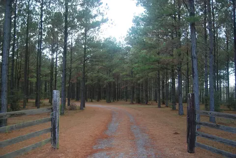 341 New Hope, Sandy Hook, MS 39478 photo 38