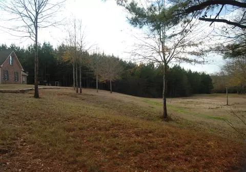 341 New Hope, Sandy Hook, MS 39478 photo 64