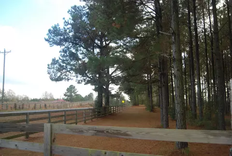 341 New Hope, Sandy Hook, MS 39478 photo 37