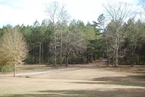 341 New Hope, Sandy Hook, MS 39478 photo 67