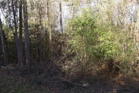 40 50 Dick Sumrall, Laurel, MS 39443 photo 2