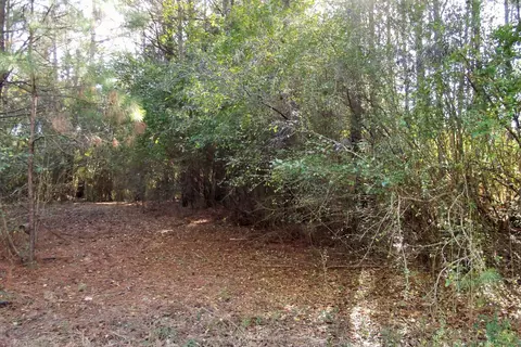 40 50 Dick Sumrall, Laurel, MS 39443 photo 1