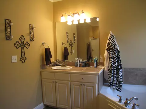 137 Latigo Loop, Sumrall, MS 39482 photo 7