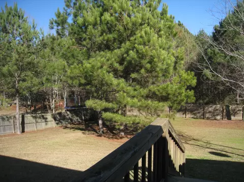 137 Latigo Loop, Sumrall, MS 39482 photo 11