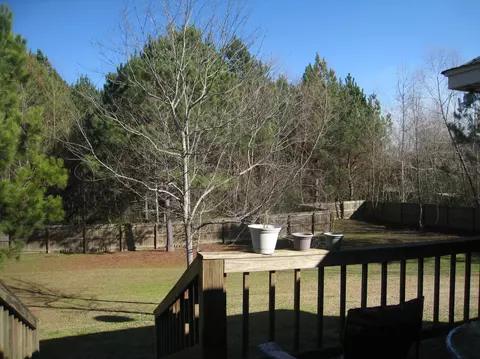 137 Latigo Loop, Sumrall, MS 39482 photo 9