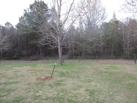 55 Beach Rd, Purvis, MS 39475 photo 8