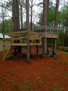 81 Higgins Rd, Sumrall, MS 39482 photo 13
