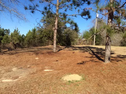 130 Tatum Camp Rd, Purvis, MS 39475 photo 3