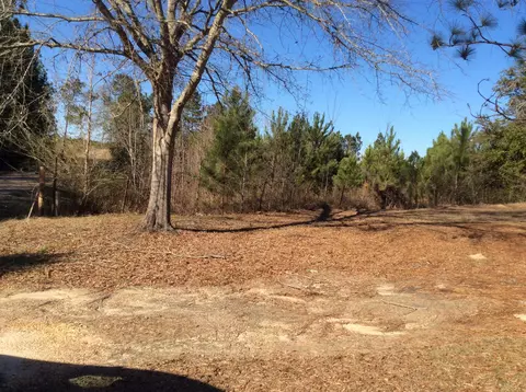 130 Tatum Camp Rd, Purvis, MS 39475 photo 4