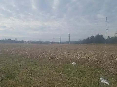 212 New Bond Way, Bowling Green, KY 42101