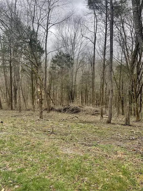 51 Walleye Way # A, Scottsville, KY 42164