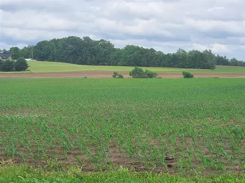 00 Witt Rd, Franklin, KY 42134