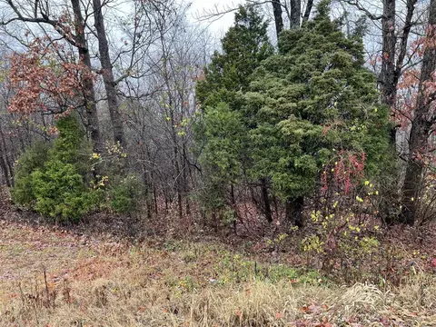 656 Briggs Hill Rd, Bowling Green, KY 42101