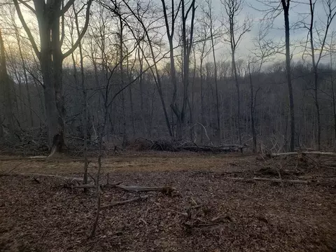 00 Coal Bank Rd, Sharon Grove, KY 42280