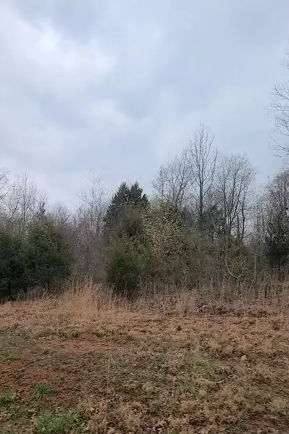 0 Loving Chapel Rd, Franklin, KY 42134