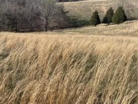 Halfway Road, Scottsville, KY 42164