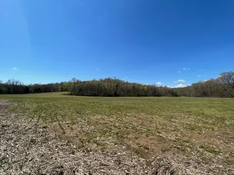 872 Region Reedyville Rd, Roundhill, KY 42275