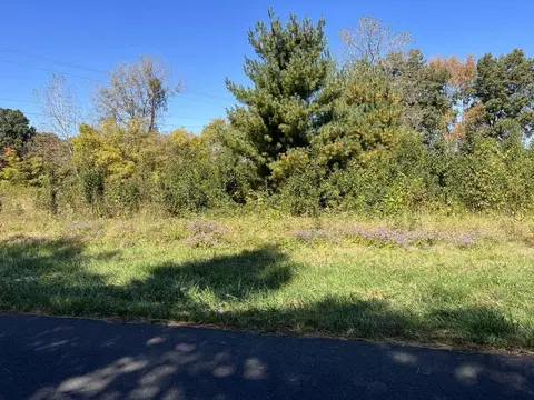 Tract 4 Hall Leffew Road, Franklin, KY 42134