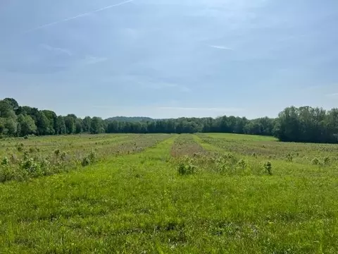 0 Region Reedyville Rd, Roundhill, KY 42275
