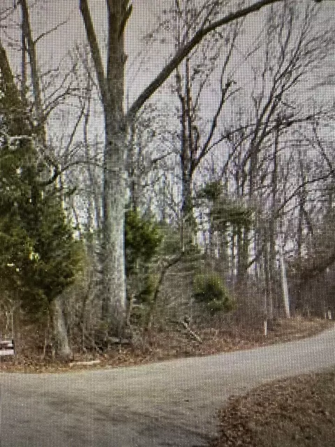 5 Yates Lake Drive Road, Scottsville, KY 42164