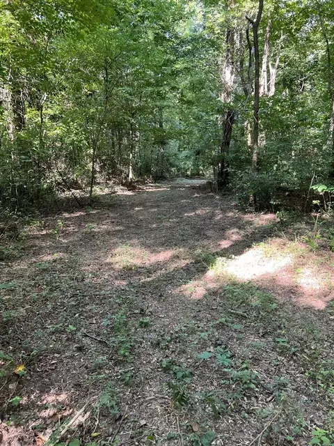 7848 Smiths Grove Rd, Scottsville, KY 42164