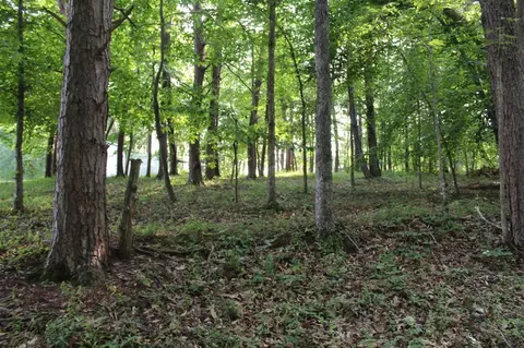 30 Harbor Springs Road, Jamestown, KY 42629