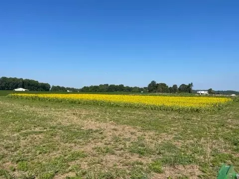 0 Cemetary Rd, Alvaton, KY 42122