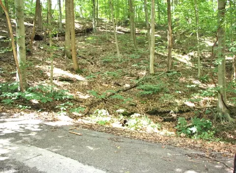 lot33 Navajo Trl, Lucas, KY 42156