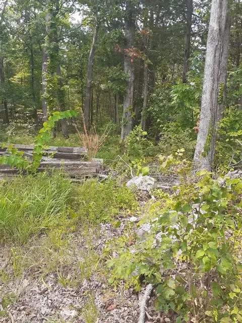 0 Comanche Dr, Cub Run, KY 42729