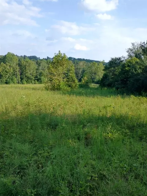 Cherry Springs Rd, Cub Run, KY 42729