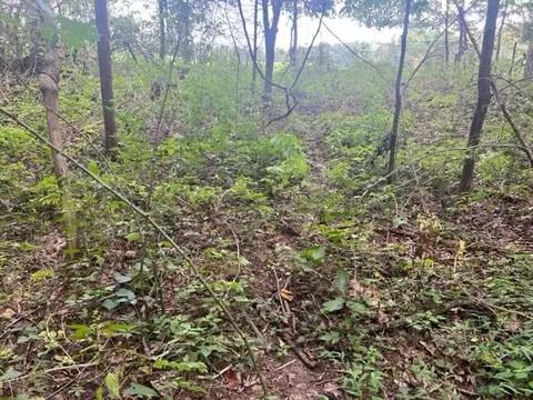 0 Nolin Dam Rd, Sweeden, KY 42285