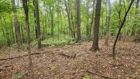 0 Sara Ln, Russellville, KY 42276