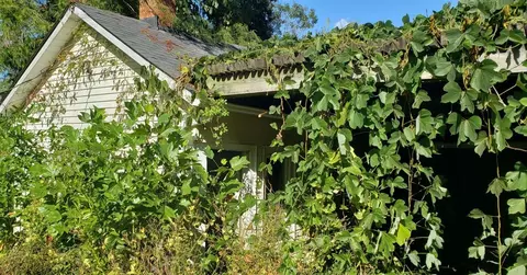 699 Charlie Dowling Rd, Munfordville, KY 42765