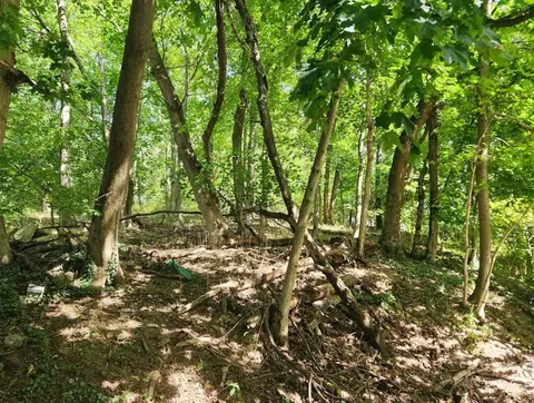 Ac Powder Mill Road, Magnolia, KY 42757