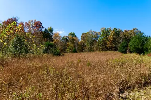 3435 Old Buck Creek Rd, Adolphus, KY 42120