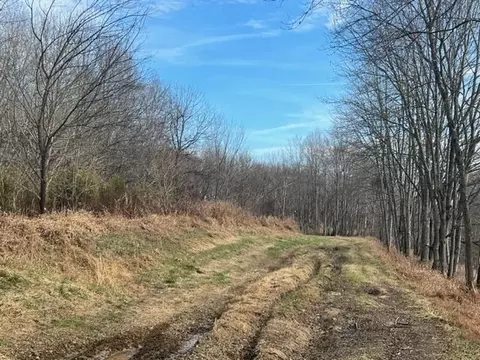 0 Highway 62, Horse Branch, KY 42349