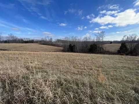24 Acres Maysville Rd, Scottsville, KY 42164