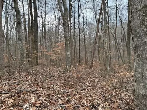 lot S 308-325 Hellbender Ln, Scottsville, KY 42164