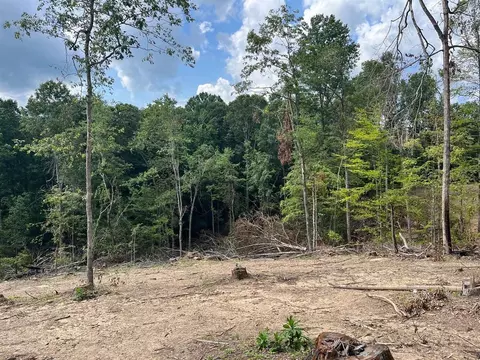 lot210 Oakland Hills Cir, Leitchfield, KY 42754