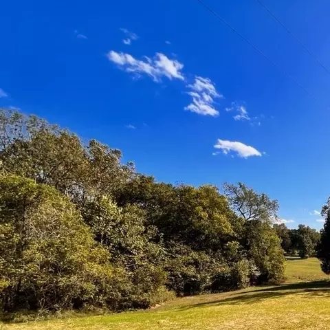 Tract 2 James Mitchell Road, Elkton, KY 42220