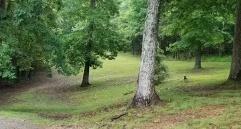 0 Rim Trail Rd, Lewisburg, KY 42256