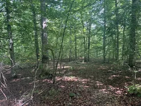 524 Scott Ridge Rd, Edmonton, KY 42129