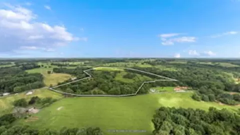 2825 Old Gainesville Rd, Scottsville, KY 42164