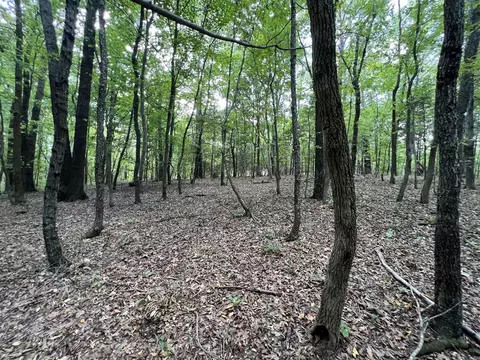 5 265 Acres Veterans Memorial Hwy, Scottsville, KY 42164