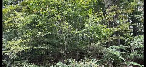 lot266 Hellbender Ln, Scottsville, KY 42164