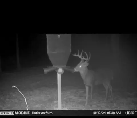 0 Ben Brown Rd, Lewisburg, KY 42256