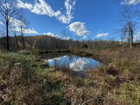 1119 Arnold Leach Rd, Horse Branch, KY 42349