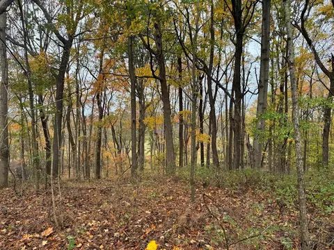 0 Raymond Thompson Rd, Auburn, KY 42206