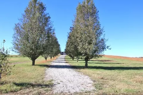 732 Baileys Point Rd, Scottsville, KY 42164